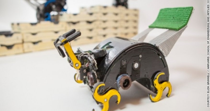 How termite-inspired robots could build for us
