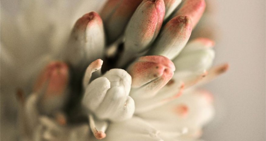 National Geographic's search for photos that will melt your heart - PHOTO