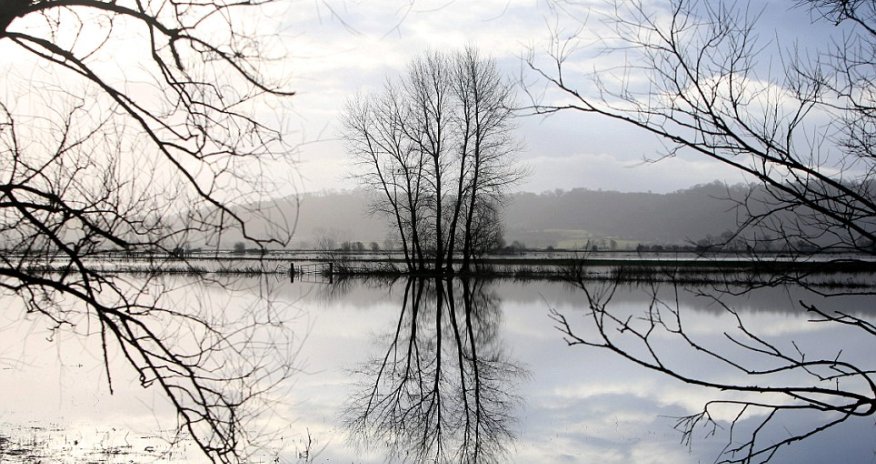 Stunning images of the submerged Somerset Levels - PHOTO