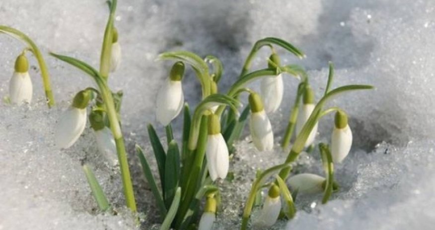 Baku weather forecast for Feb. 21