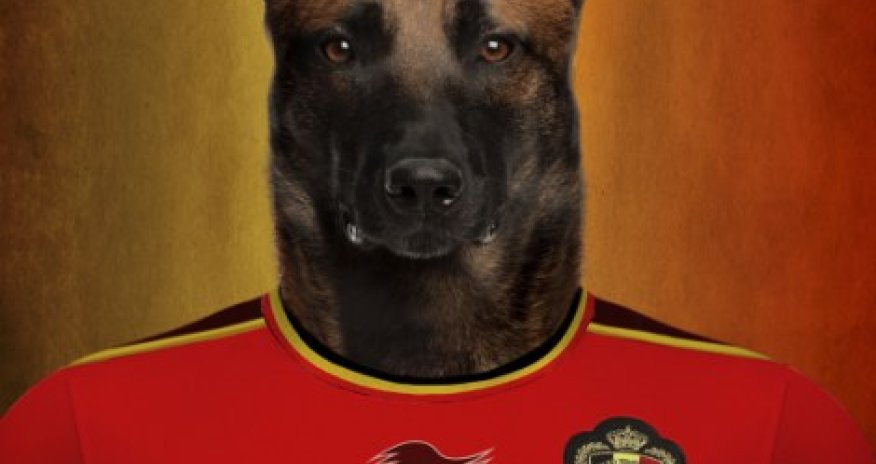 Photographer pairs teams heading to Brazil this summer with their national dog - PHOTO