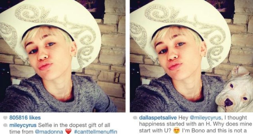 Abandoned dogs photoshopped into celebrity selfies in new craze - PHOTO