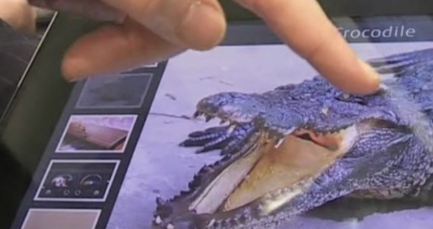 Fujitsu tablet 'lets you feel textures' on the screen - VIDEO