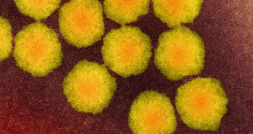 Rare 'polio-like' disease reports