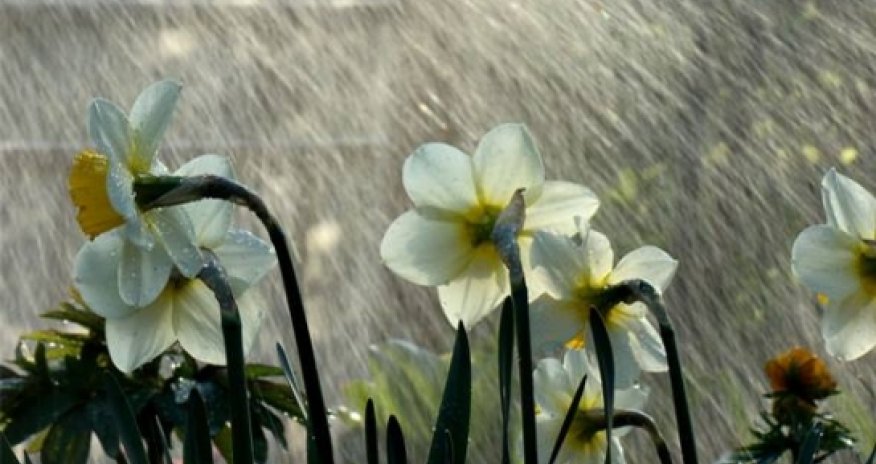 Baku weather forecast for Feb. 26