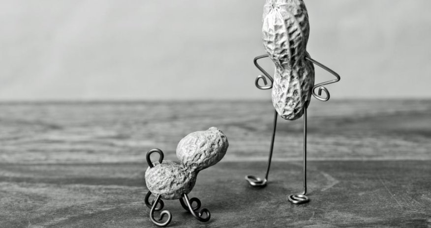 Artist recreates everyday scenes replacing people with peanuts - PHOTO