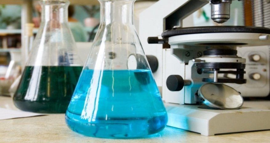 Ears and noses to be grown in lab from stem cells