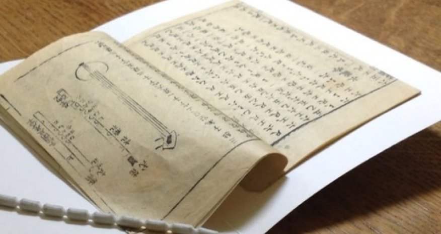Rare book offers clues to China's musical past