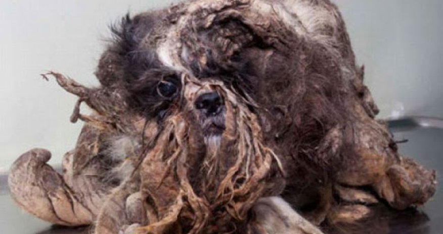 I’ve Never Seen A More Shocking Transformation - PHOTO