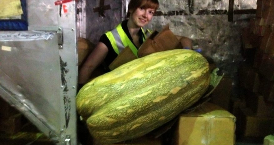 Talk about squashing in your luggage!