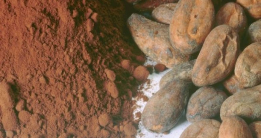 Could a CHOCOLATE pill prevent heart attacks and strokes?