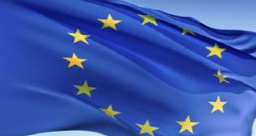 The EU condemned the verdict and I.Mamedov T.Yagublu