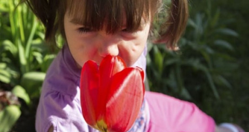 Nose can detect one trillion odours