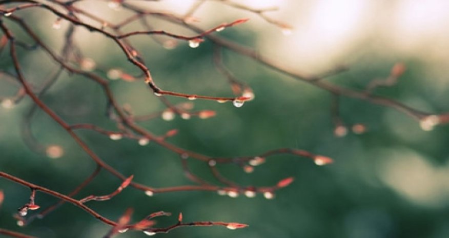 Baku weather forecast for March 29