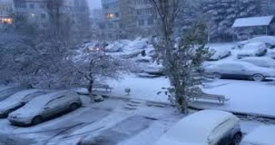 Azerbaijan may be left without fruits and berry crop this year