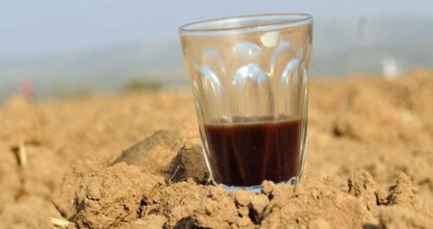 Do coffee and tea really dehydrate us?