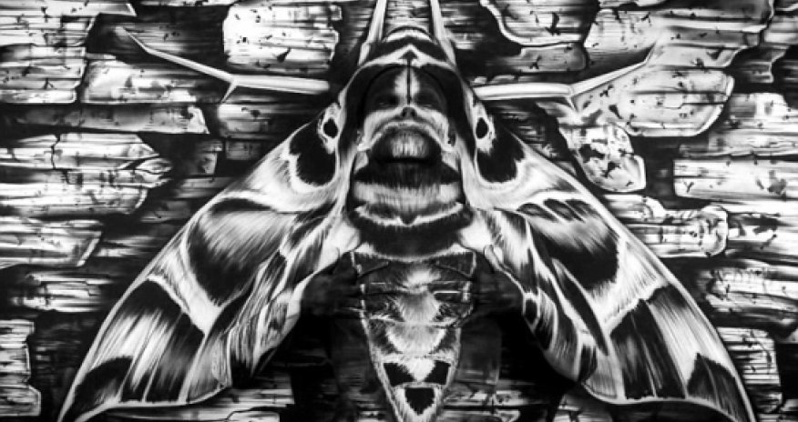 Incredible insect artwork has painted woman camouflaged inside - PHOTO+VIDEO