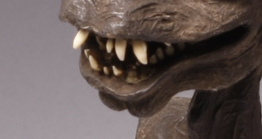 Mysterious mermaid stripped naked - PHOTO+VIDEO