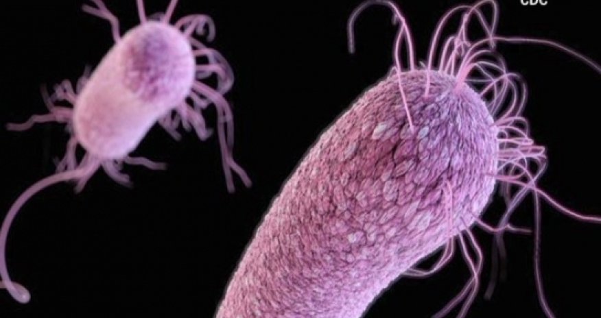 The antibiotics that could kill you