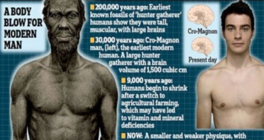 Humans become WEAKLINGS compared with our ancient ancestors
