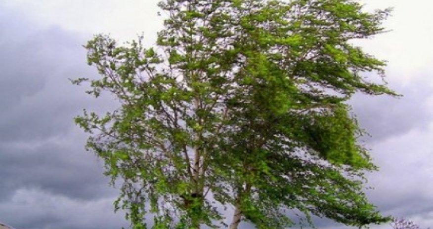 Baku weather forecast for April 30