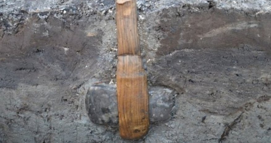Stone Age axe discovered complete with its WOODEN handle