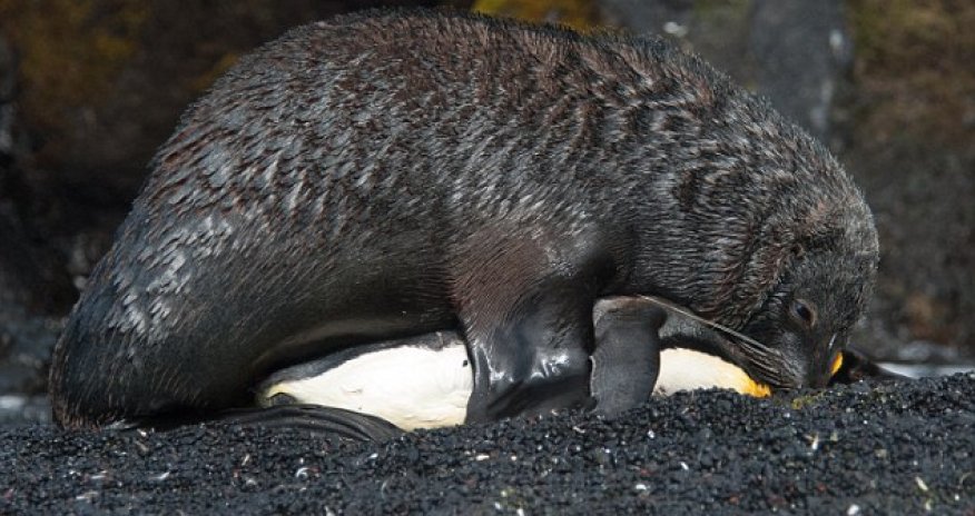 So THAT’s what they would look like - PHOTO+VIDEO