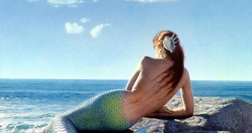 Margo Pfeiff: “Su pərisi” - E-kitab