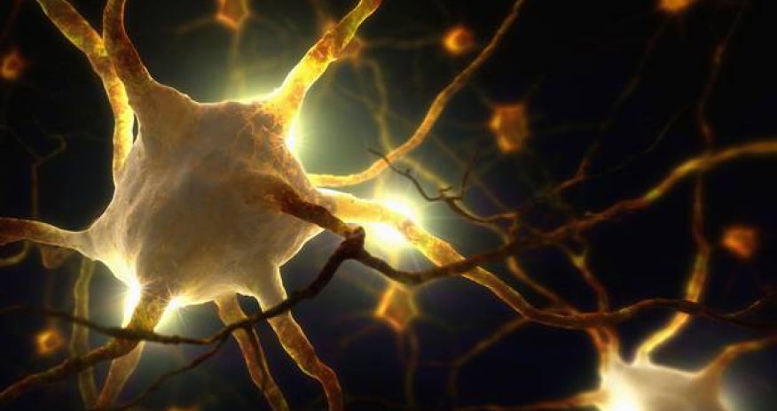 Scientists have found an off-switch for pain