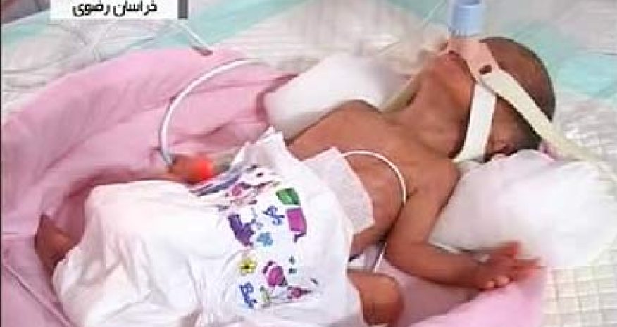 Женщина родила семерых детей - ФОТО