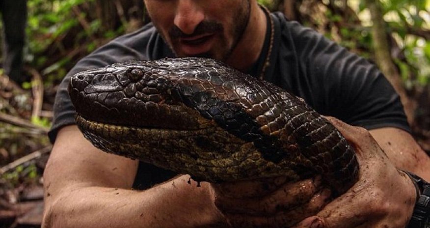 Daredevil naturalist reveals he was more scared for the animal\\\'s safety than his own