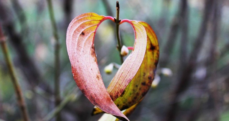 Autumn in Azerbaijan - PHOTO