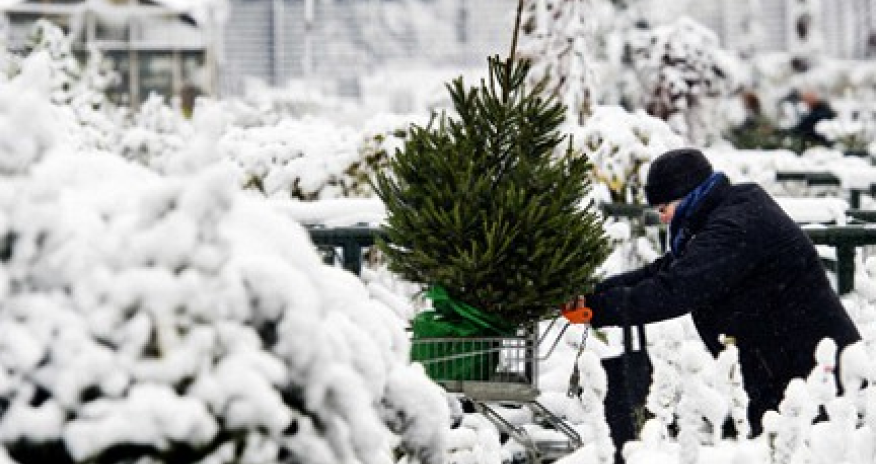 Очень смешная пародия  - ВИДЕО