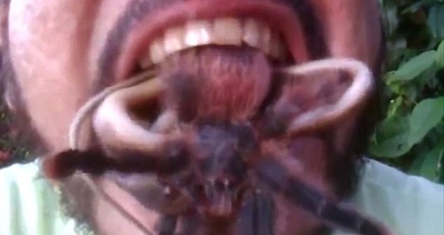 Don't try this at home