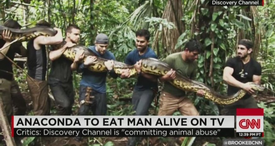 Anaconda eats man alive on Discovery Channel?