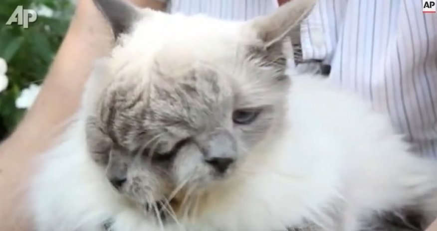 Погиб самый старый в мире 