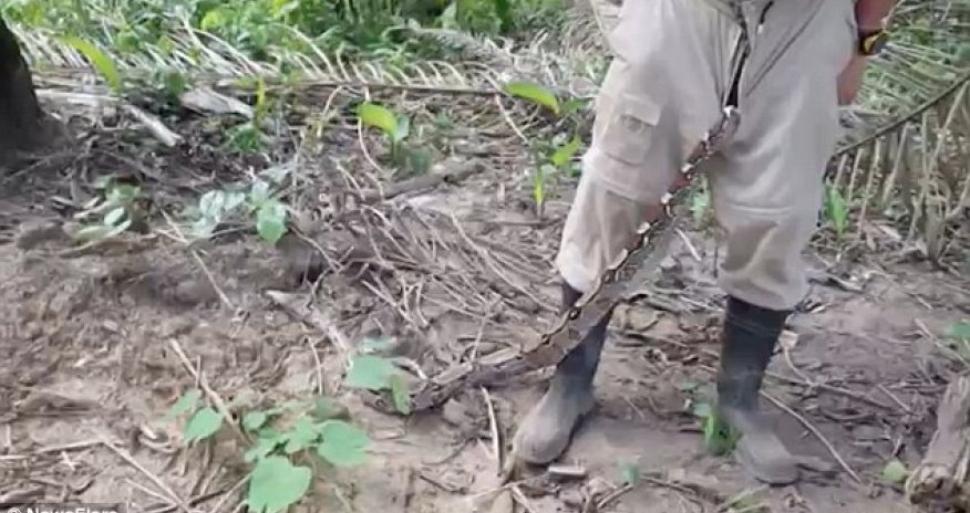 Now THAT'S constricting underwear!