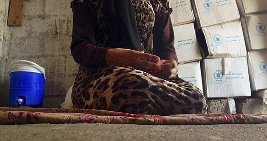 ISIS's 'Slavery for Dummies'