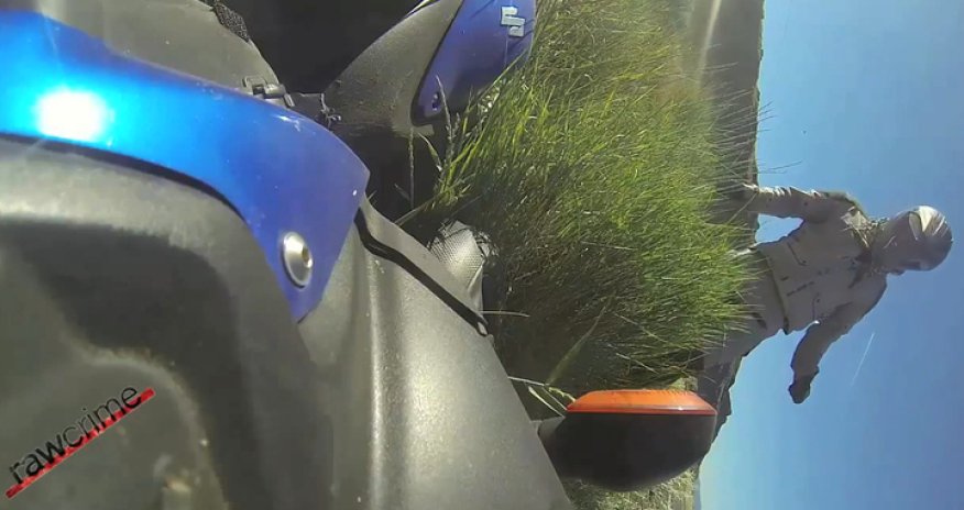 Муха спровоцировала страшное ДТП