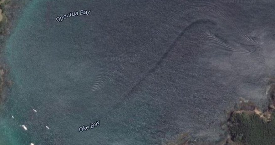 Too big to be a shark and too fast for a whale