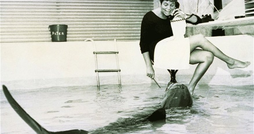 The woman who lived in sin with a dolphin