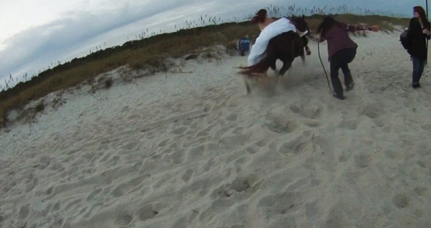 Guess he got cold feet!