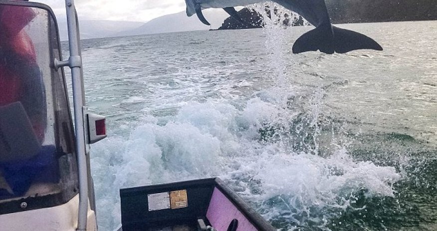 That was flipping close