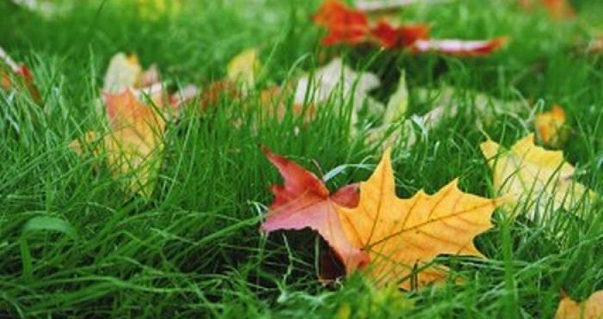 Baku weather forecast for Dec. 20