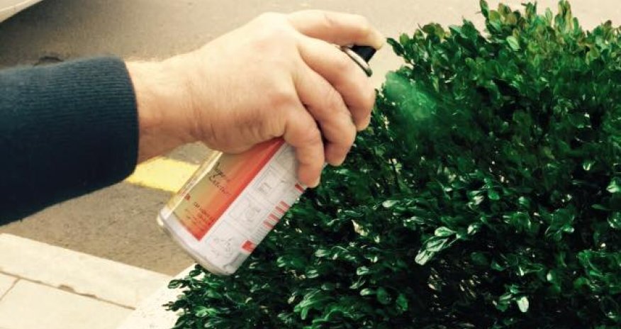 Раскрыт секрет озеленения нашего Баку!