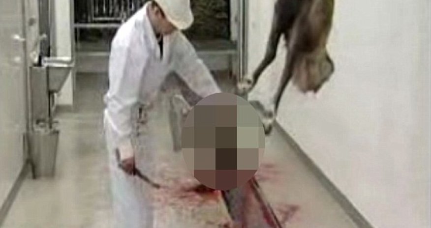 Rudolph's gruesome fate