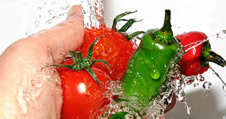 IFC helps promote food safety standards in Azerbaijan