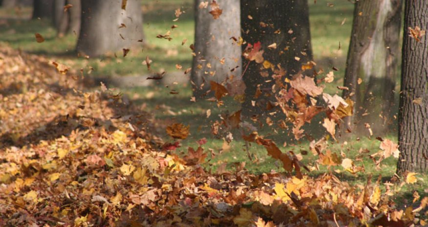 Baku weather forecast for Dec. 26