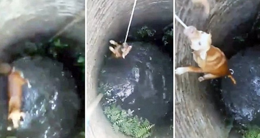 So near and yet so far