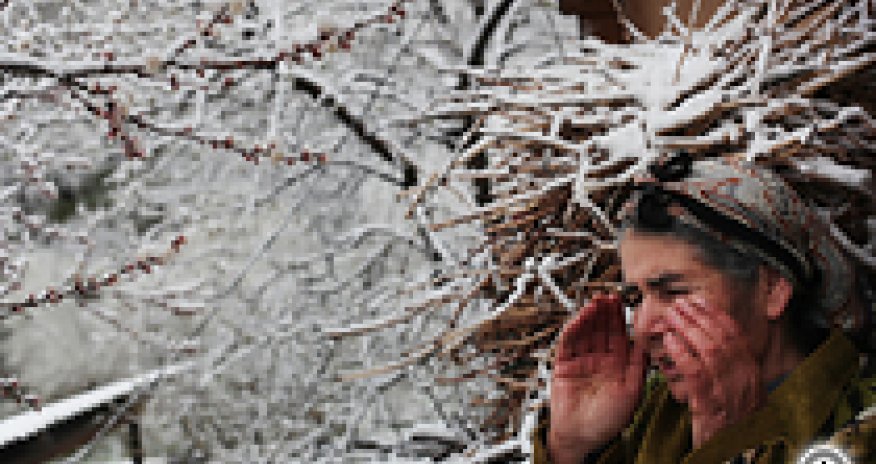 Armenia: farmers look for way out of debt trap